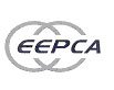 CCA 1