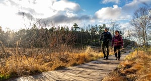 Walking-down-the-path