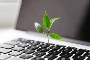 green-sustainable-1